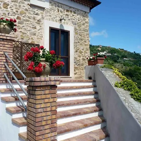 Canniclo
